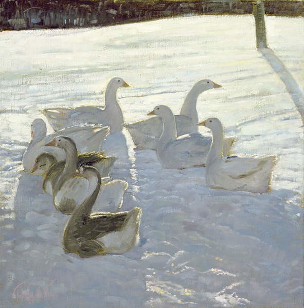 Плакат Geese Against the Light