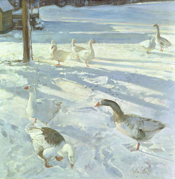 Плакат Snowfeeders, 1999