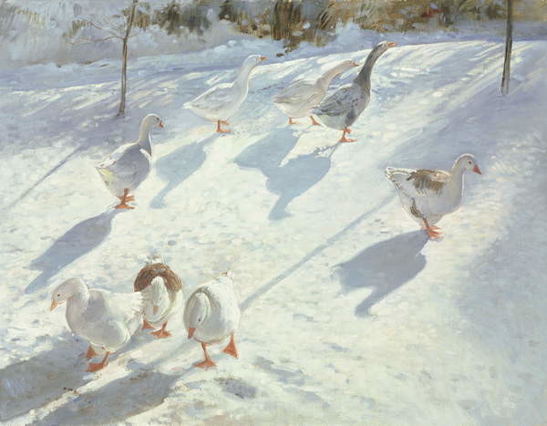Плакат In Two Directions