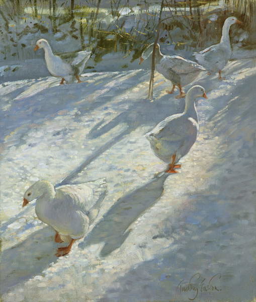 Плакат Exploring the Slope