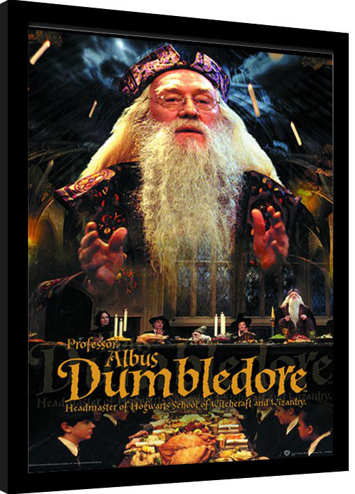 Κορνιζαρισμένη αφίσα Harry Potter - Dumbledore