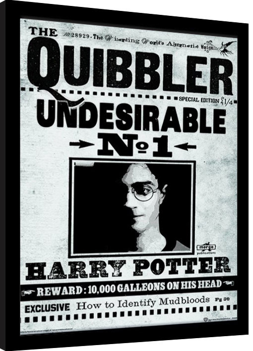 Framed poster Harry Potter - The Quibbler