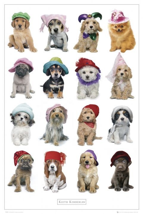 Плакат Keith Kimberlin - hats