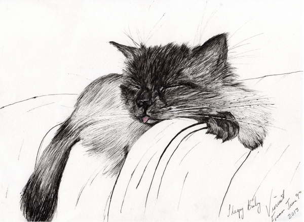 Наклейка Sleepy Baby, 2013,