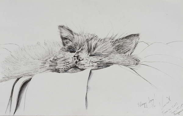 Принти на полотні Monty sleepy boy, 2013,