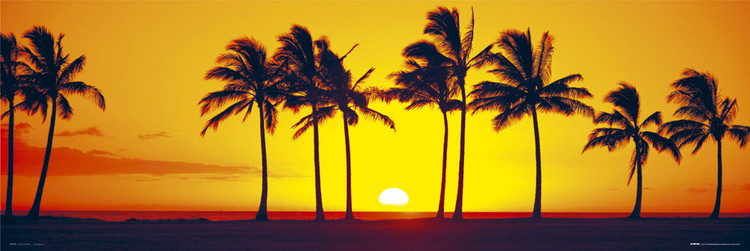 Плакат Hawaiian - Sunset