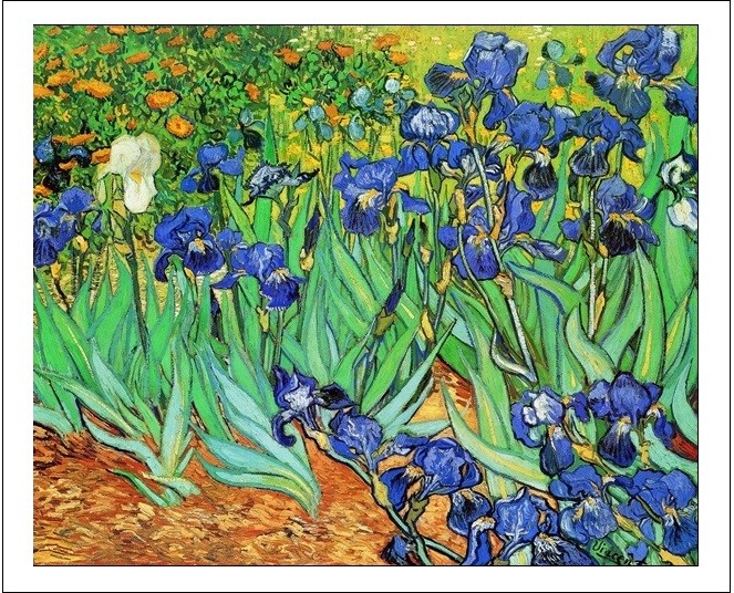 Impressão artística Irises, 1889