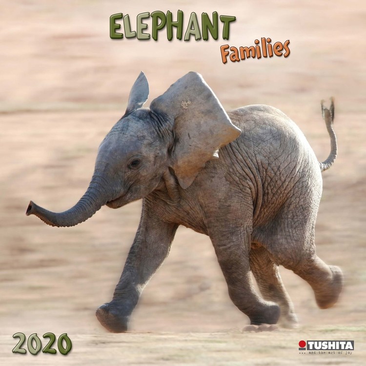 Ημερολόγιο 2027 Elephant Families