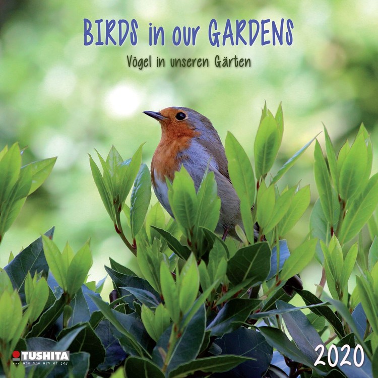 Ημερολόγιο 2027 Birds in our Garden