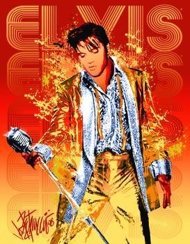 Μεταλλική πινακίδα EVIS PRESLEY - gold lame suit