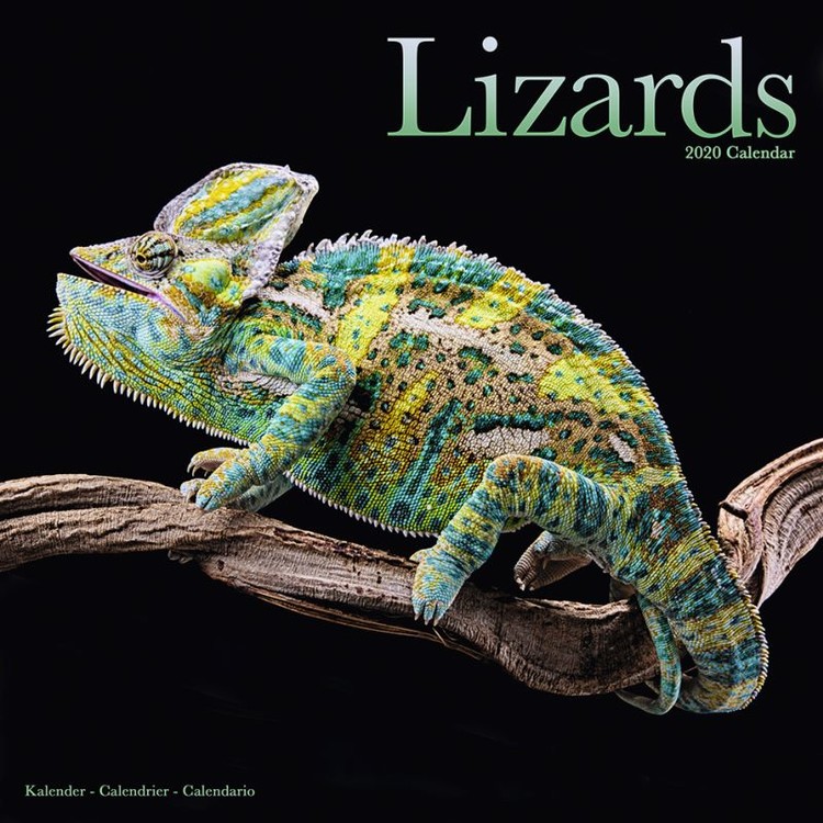 Календар 2027 Lizards