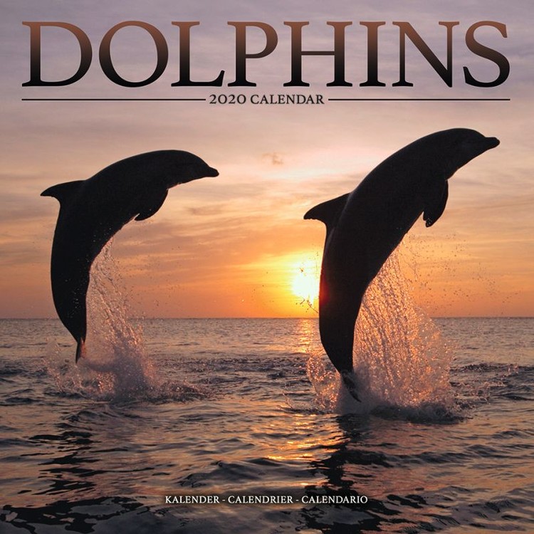 Kalenteri 2027 Dolphins