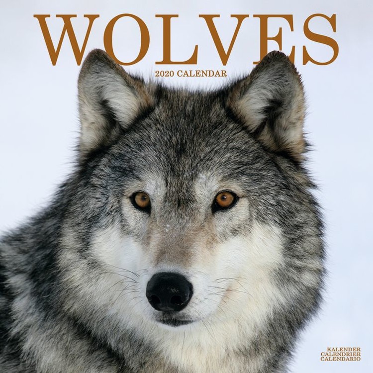 Календар 2027 Wolves