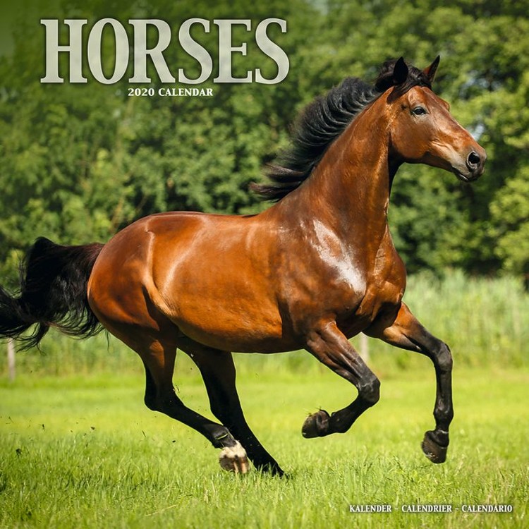 Calendar 2027 Horses