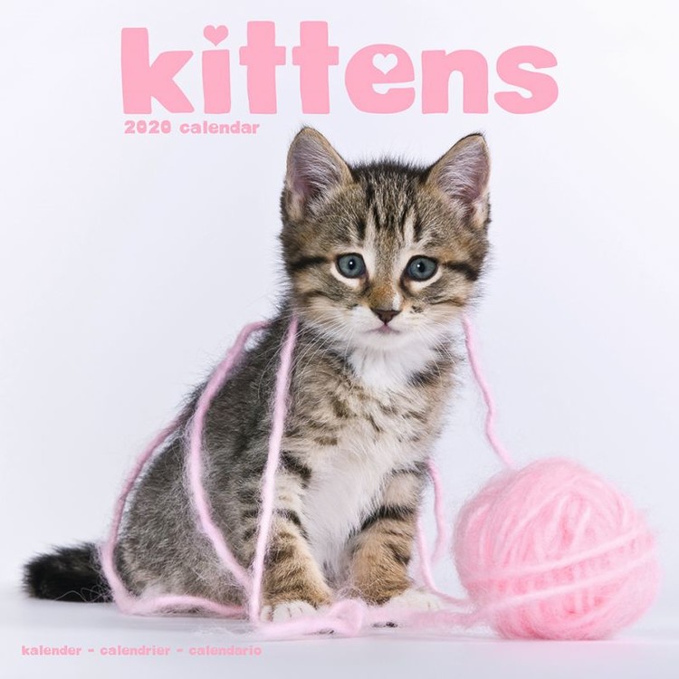 Kalenteri 2027 Kittens
