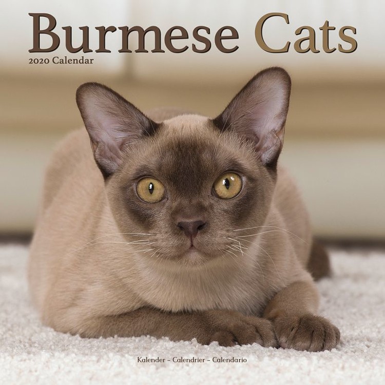 Kalenteri 2027 Burmese