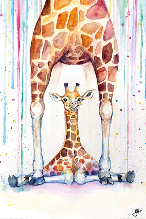 Плакат Marc Allante - Gorgeous Giraffes