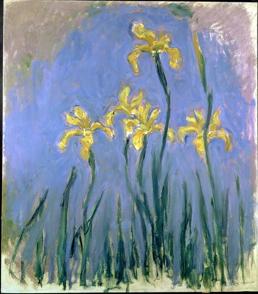 Плакат Yellow Irises; Les Iris Jaunes, c.1918-1925