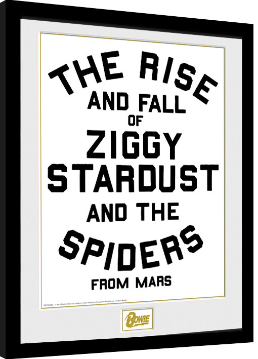 Poster emoldurado David Bowie - The Rise and Fall