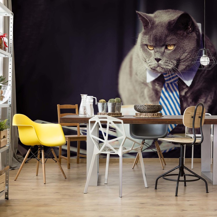 Ταπετσαρία Cat Boss