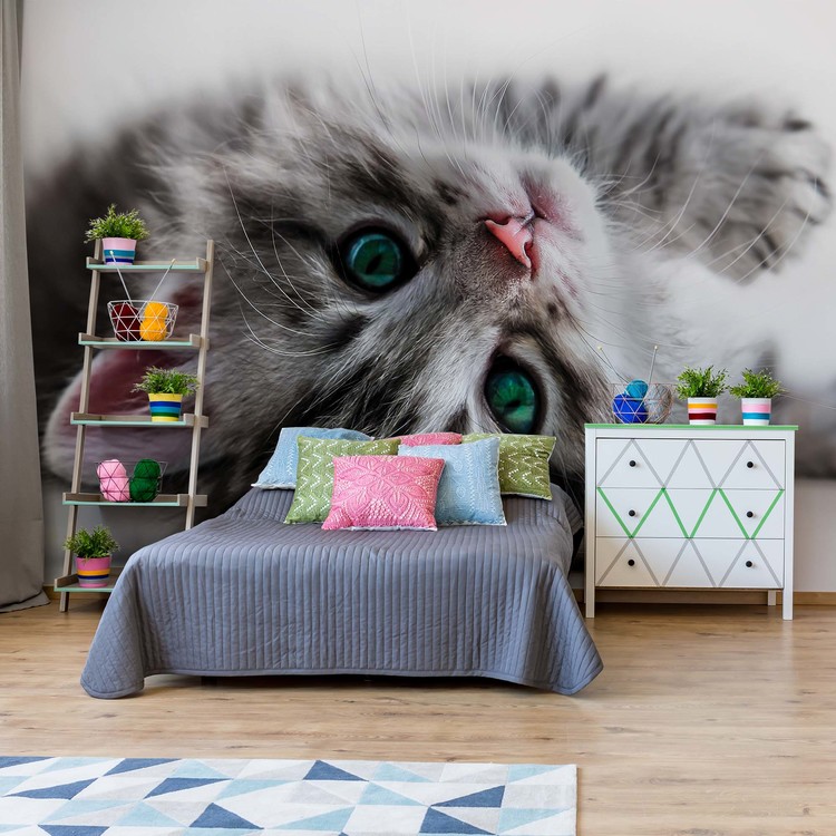 Cute Kitten Wallpaper Mural