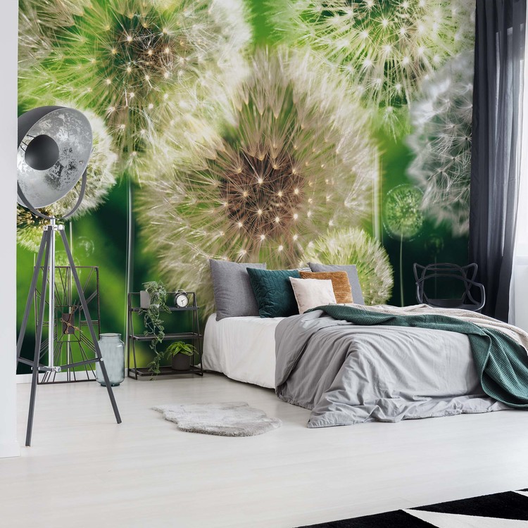 Wall Mural Dandelions
