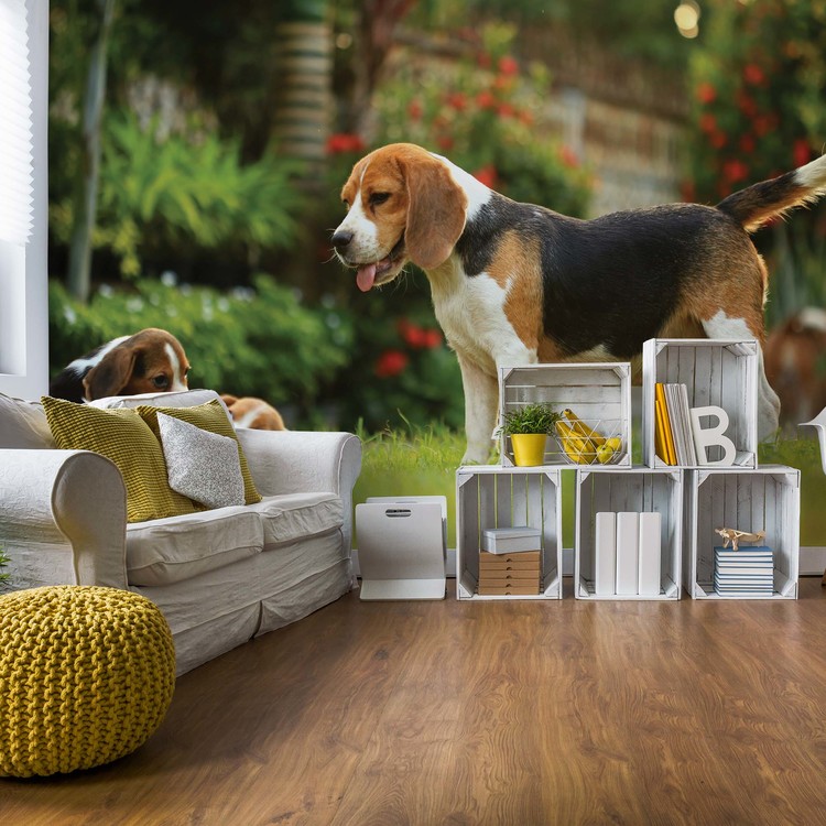 Beagle Dog Wallpaper Mural