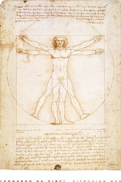 Плакат Leondardo da Vinci - vitruvian man