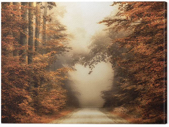 Картината върху платно Lars Van De Goor - Fall In Love