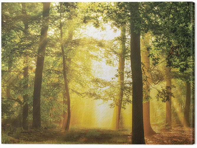 Canvas Print Lars Van De Goor - Hidden In Plain SIght