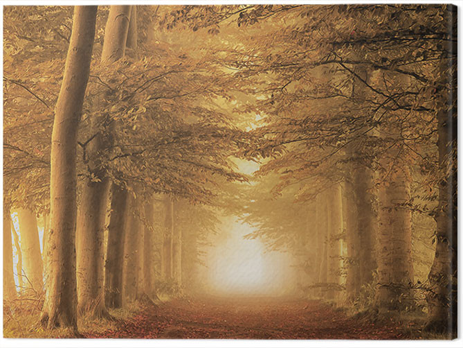 Принти на полотні Lars Van De Goor - Autumn Feelings