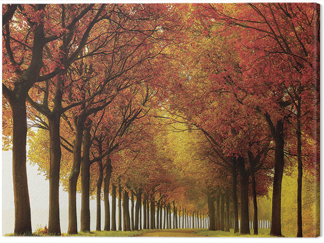 Quadro em tela Lars Van De Goor - So Full