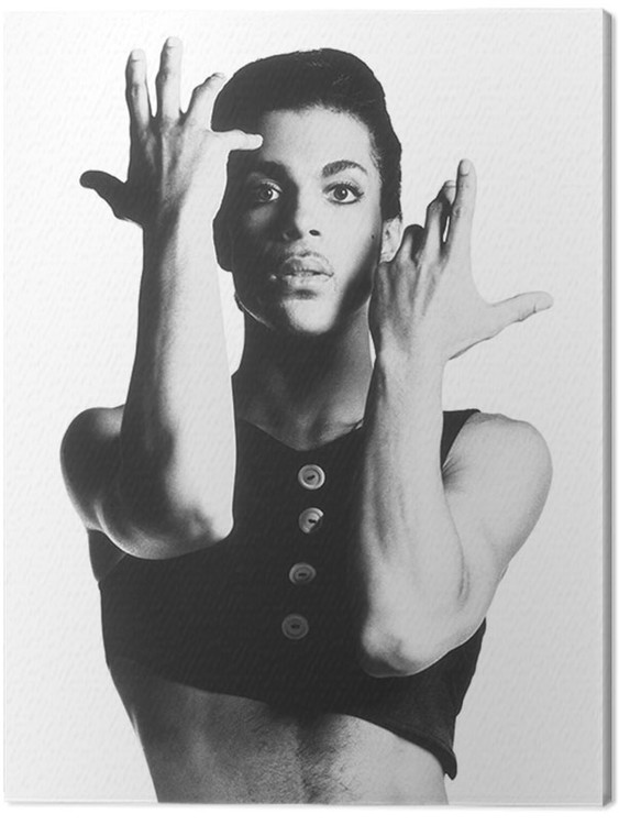 Canvas Print Prince - Parade
