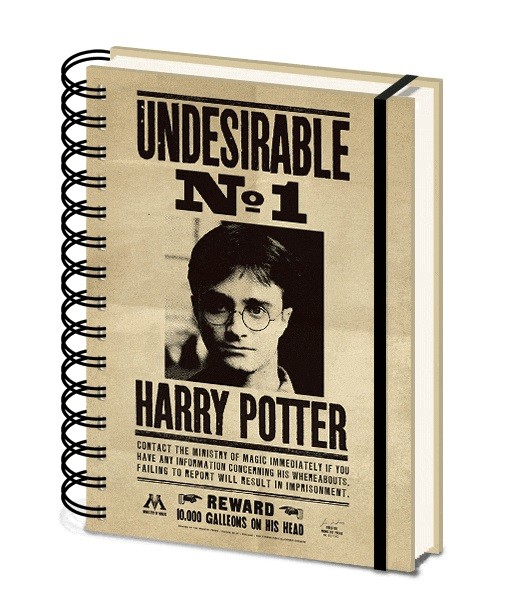 Σημειωματάριο Harry Potter - Sirius & Harry 3D Cover