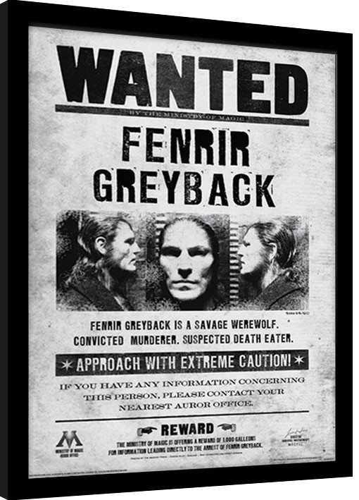 Framed poster Harry Potter - Fenrir Wanted