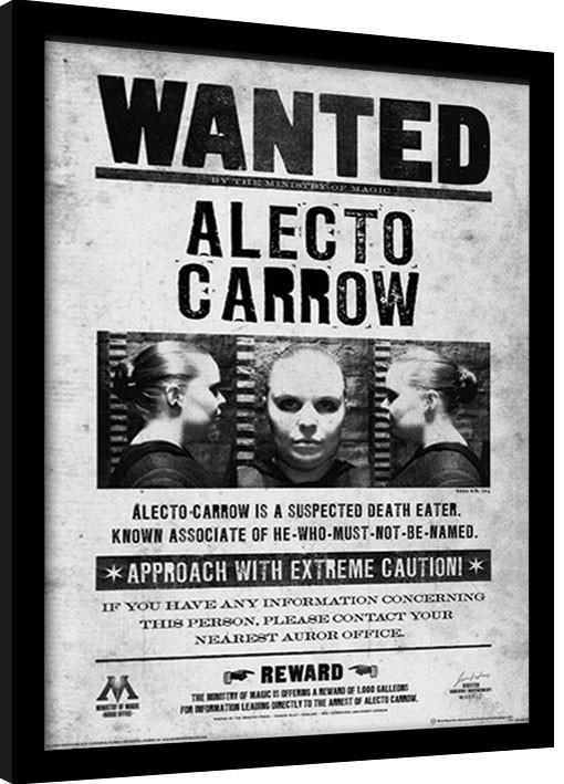 Uokvireni poster Harry Potter - Alecto Wanted