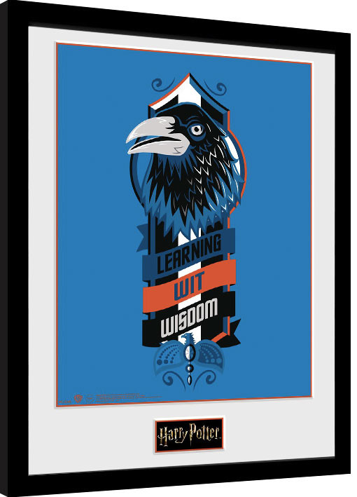 Framed Poster Harry Potter - Learning