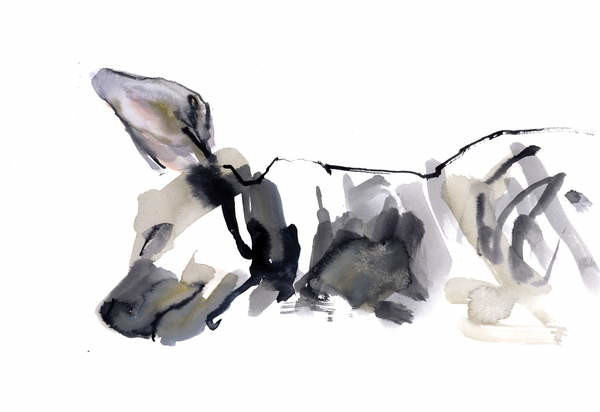Плакат Sleeping Hyaena, 2010,