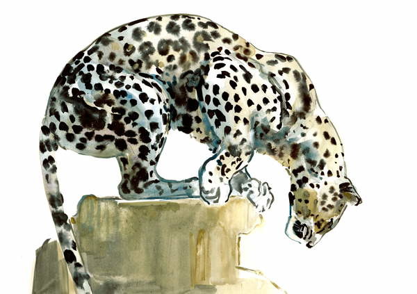 Stenska nalepka Spine (Arabian Leopard), 2015,