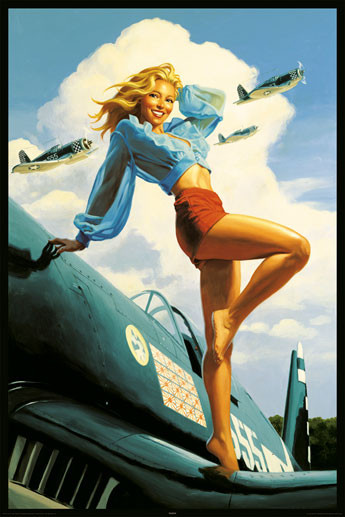 Poster Hildebrandt - usa