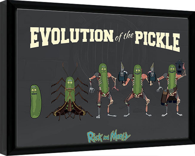 Κορνιζαρισμένη αφίσα Rick & Morty - Evolution Of The Pickle