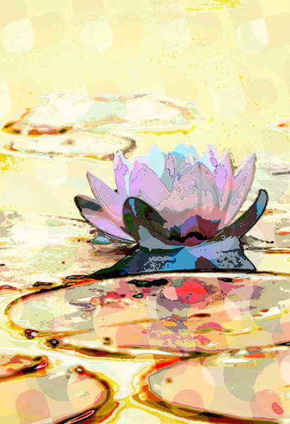 Плакат Water Lily