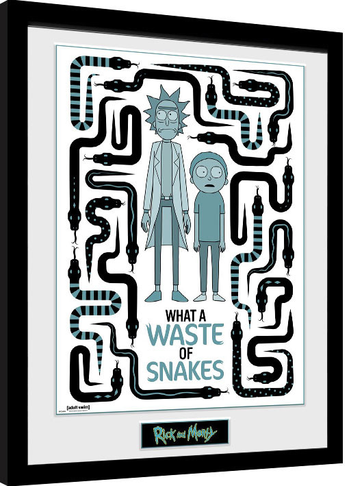 Κορνιζαρισμένη αφίσα Rick & Morty - Waste of Snakes