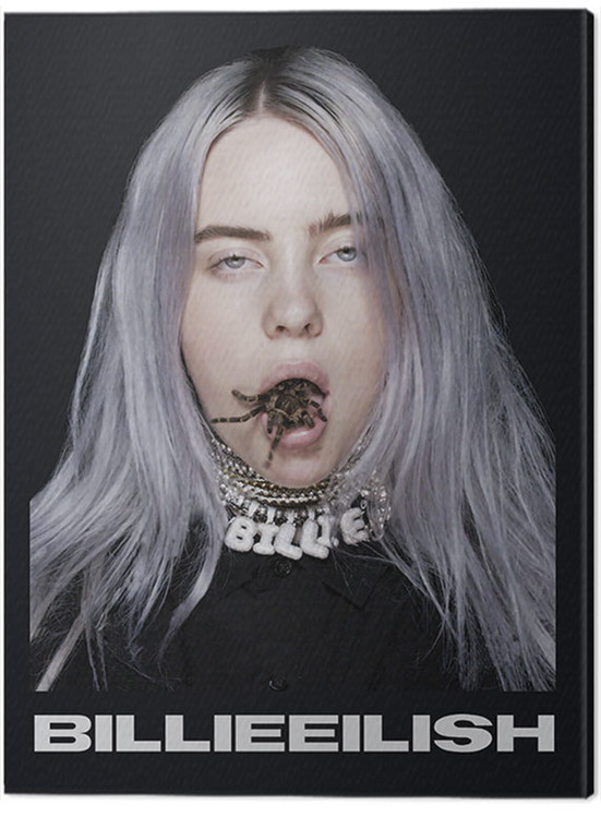 Εκτύπωση καμβά Billie Eilish - Spider
