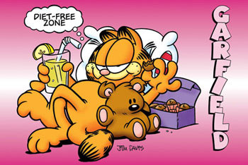 Poster GARFIELD - diet free zone