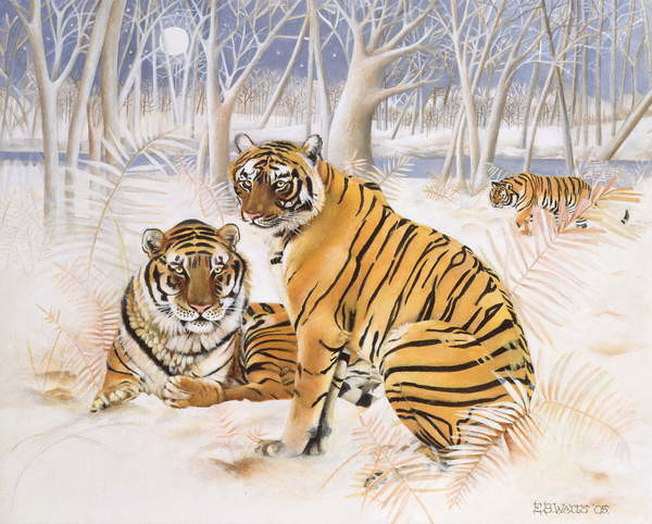 Плакат Tigers in the Snow, 2005