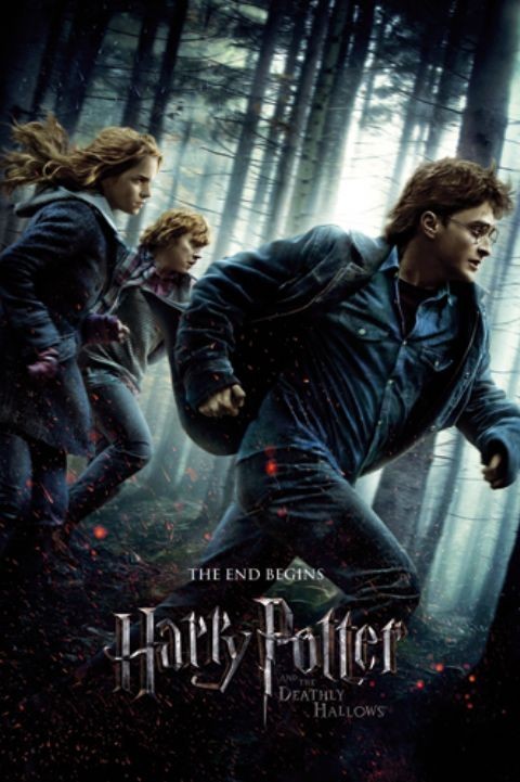 Poster HARRY POTTER 7 - one sheet