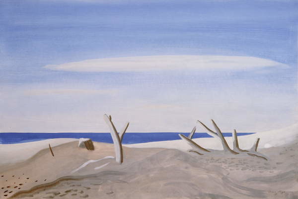 Плакат Bois Flottes du Grand Radeau, 1987