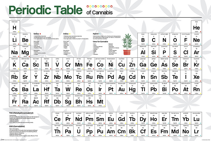 Poster Periodic Table - Cannabis
