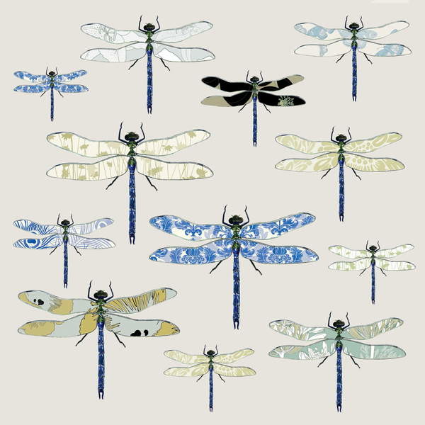 Плакат Odonata, 2008